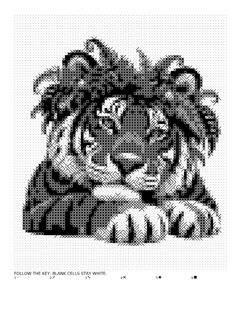 Illustrative Monochrome Mosaic puzzle-book application using a supplied output page